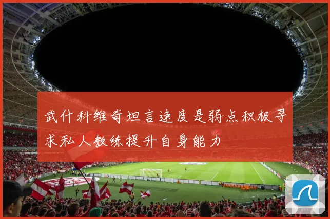 武什科维奇坦言速度是弱点积极寻求私人教练提升自身能力