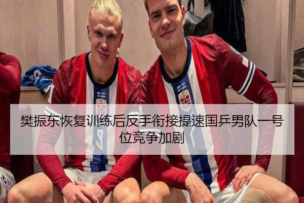 樊振东恢复训练后反手衔接提速国乒男队一号位竞争加剧