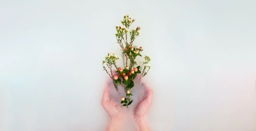 adding of dried herbs to bathtub